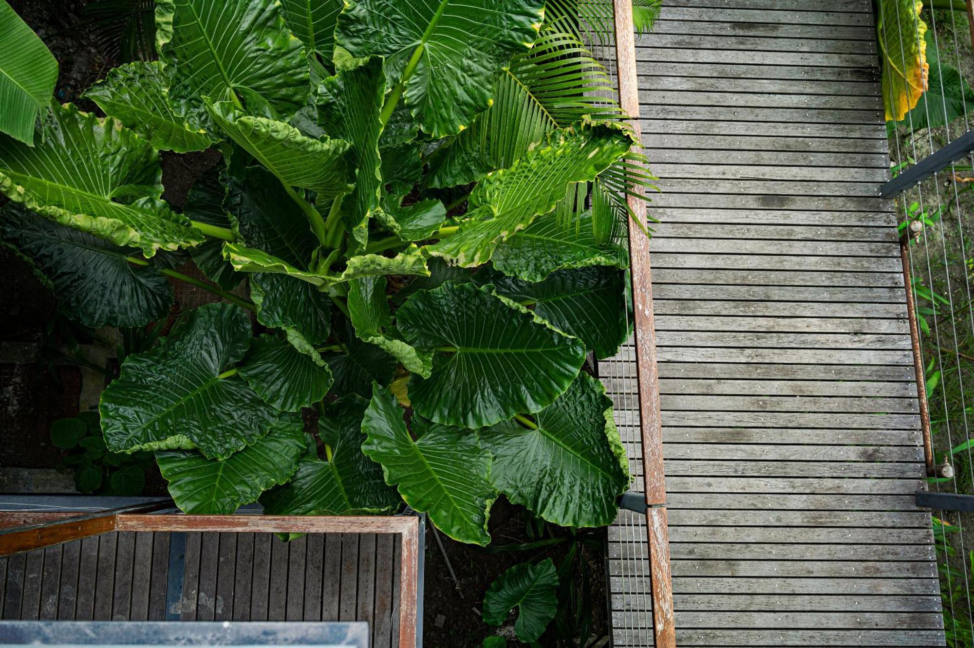 Hotel Tilar Siro Andamans - A Cgh Earth Experience Govind Nagar Exterior foto